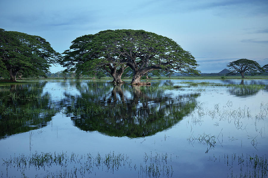 Tissamaharama & Yala National Park